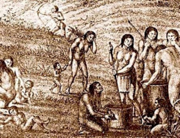 OS PRIMEIROS HABITANTES DO ATUAL TERRITÓRIO DE ALTOS - PARTE 2: OS INDÍGENAS TAPUIA