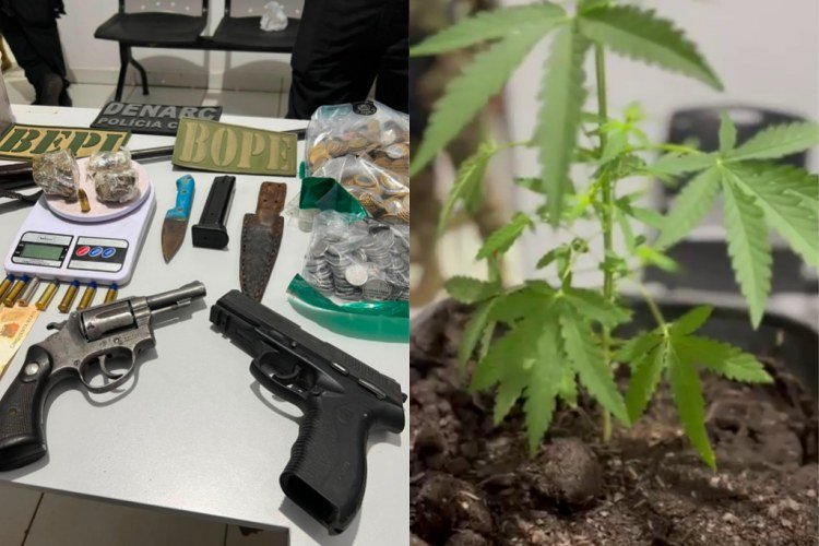 Quatro detidos em operação contra tráfico de drogas no Piauí e Maranhão​‌​