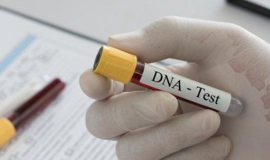 Campanha Meu Pai Tem Nome oferece exames de DNA gratuitos em 13 cidades do Piauí​‌​