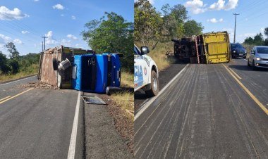 Caminhão tomba com carga de bois na Pi-110 após motorista perder controle​‌​