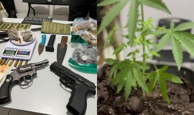 Quatro detidos em operação contra tráfico de drogas no Piauí e Maranhão​‌​
