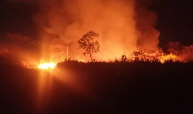 Embrapa contabiliza prejuízo superior a R$ 1 milhão após incêndio e inicia recuperação​‌​