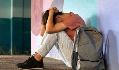 Organizações podem combater o bullying e fomentar o respeito​‌​