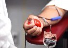Novos critérios de doação de sangue são implementados no Piauí​‌​